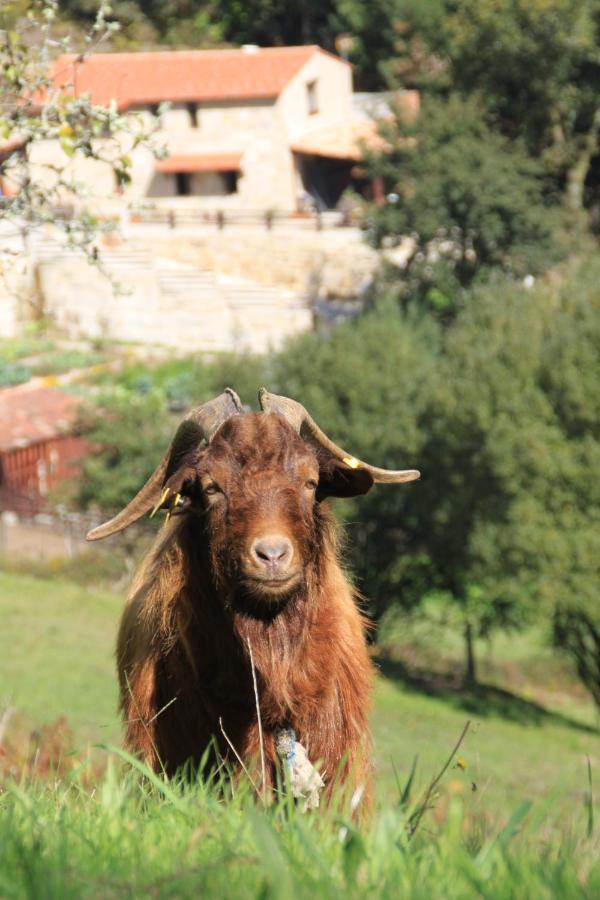 Hotel A Ecogranxa Pontevedra Dış mekan fotoğraf